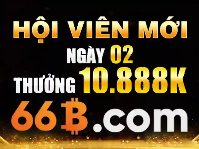 66b là gì?