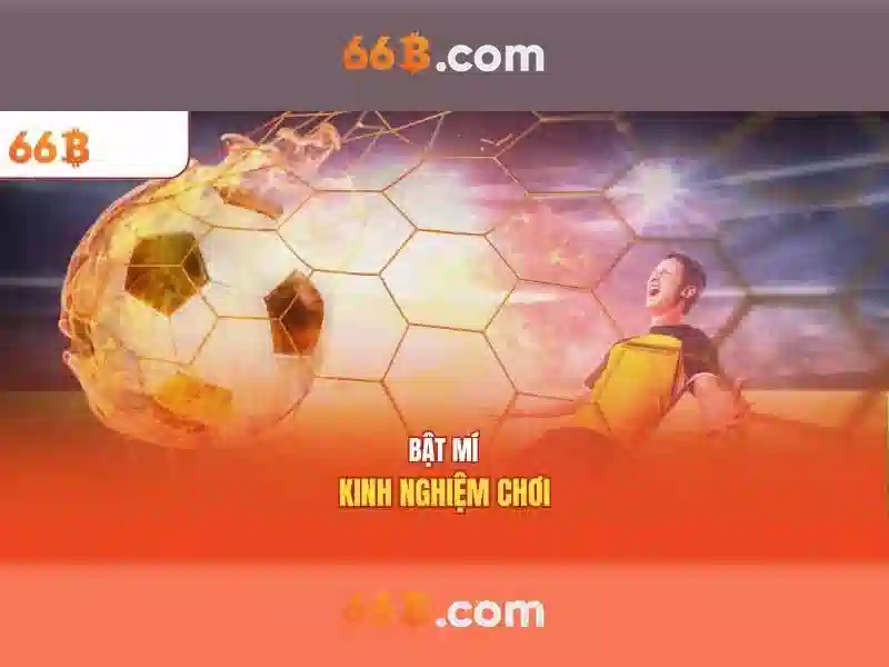 Giới thiệu về 66B Giới thiệu về 66B