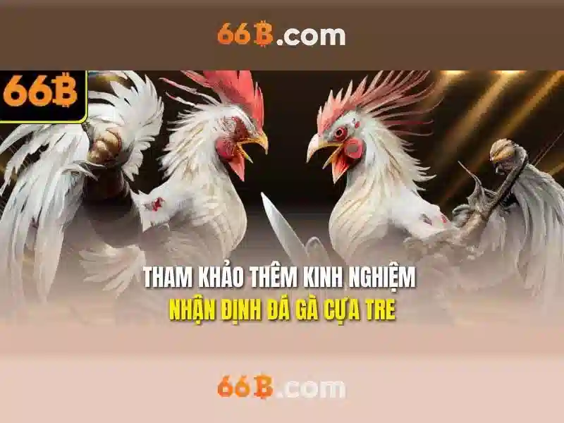 Phát triển bền vững