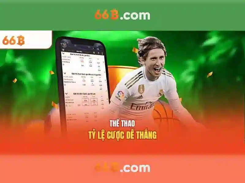 66b và hành trình của một con số 66b và hành trình của một con số
