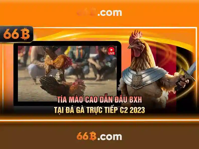 Khám phá 66B và các ứng dụng Khám phá 66B và các ứng dụng