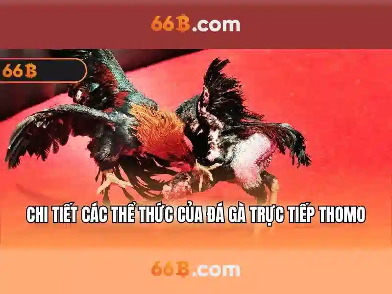 Nguồn gốc và ý nghĩa của 66B Nguồn gốc và ý nghĩa của 66B