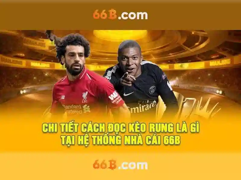 66B là gì? 66B là gì?