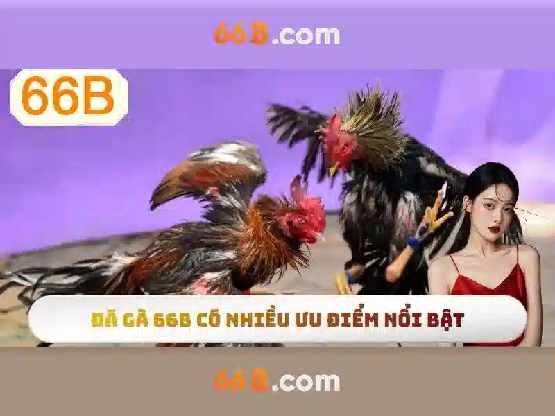 Giới thiệu về 66b Giới thiệu về 66b