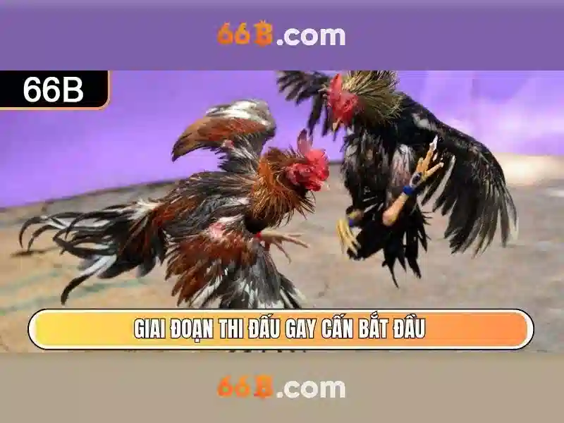 Kiến trúc và đào tạo