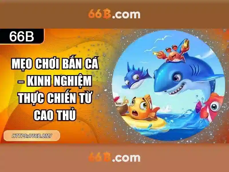 Lịch sử và kiến trúc của 66B