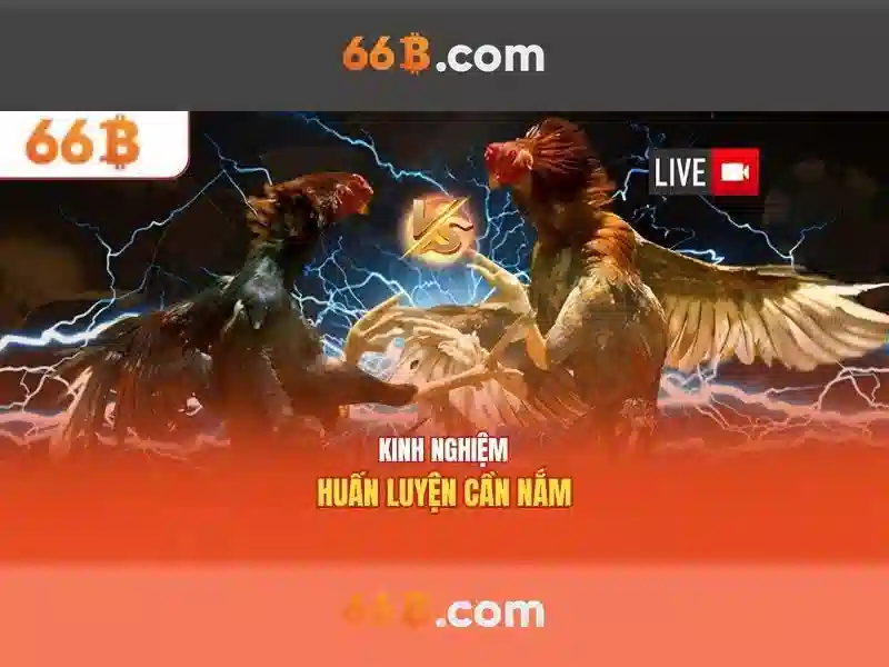 Ý nghĩa và cách diễn giải trong toán học Ý nghĩa và cách diễn giải trong toán học