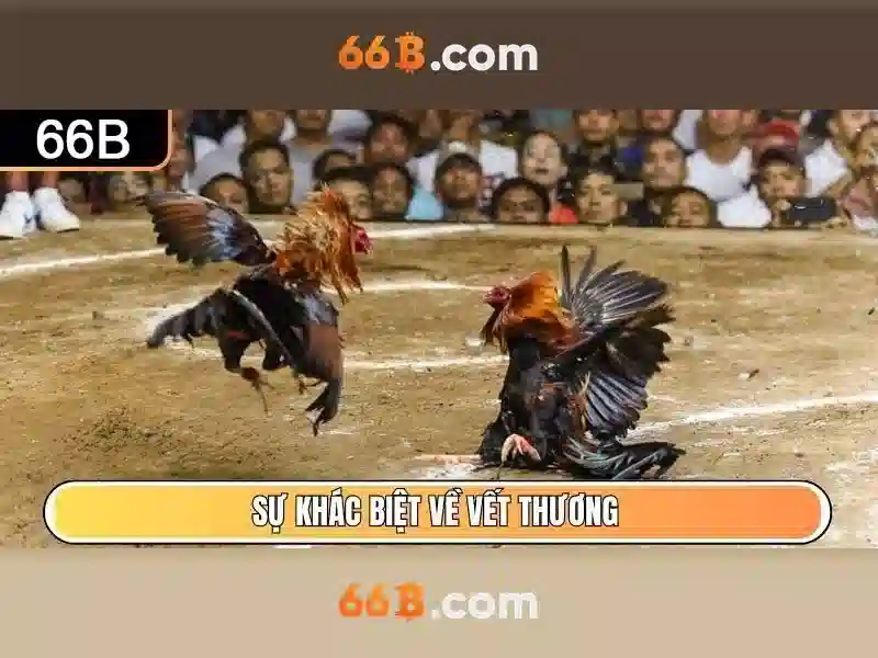 66b trong thực tiễn và ví dụ 66b trong thực tiễn và ví dụ