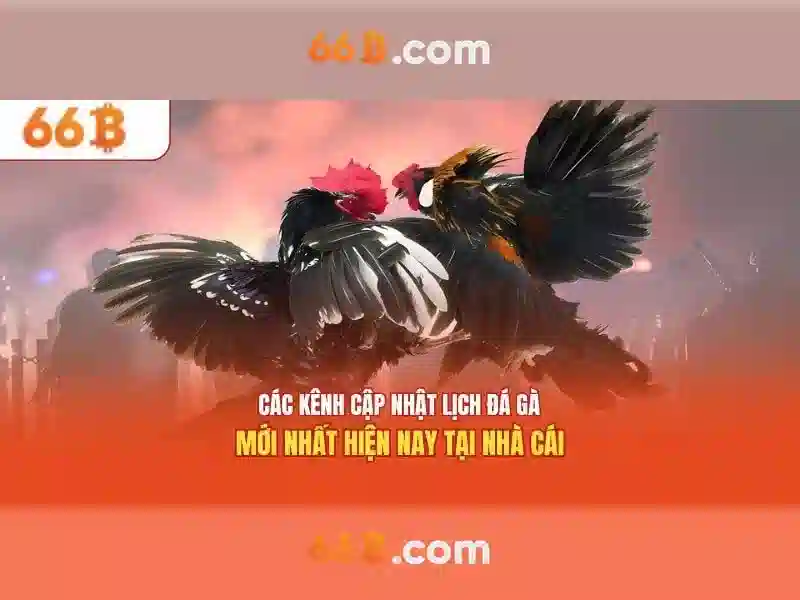 Việt Vị Trong Bóng Đá