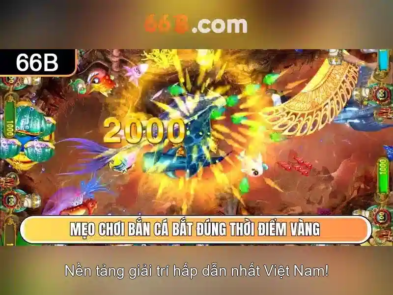 Tương lai của 66b