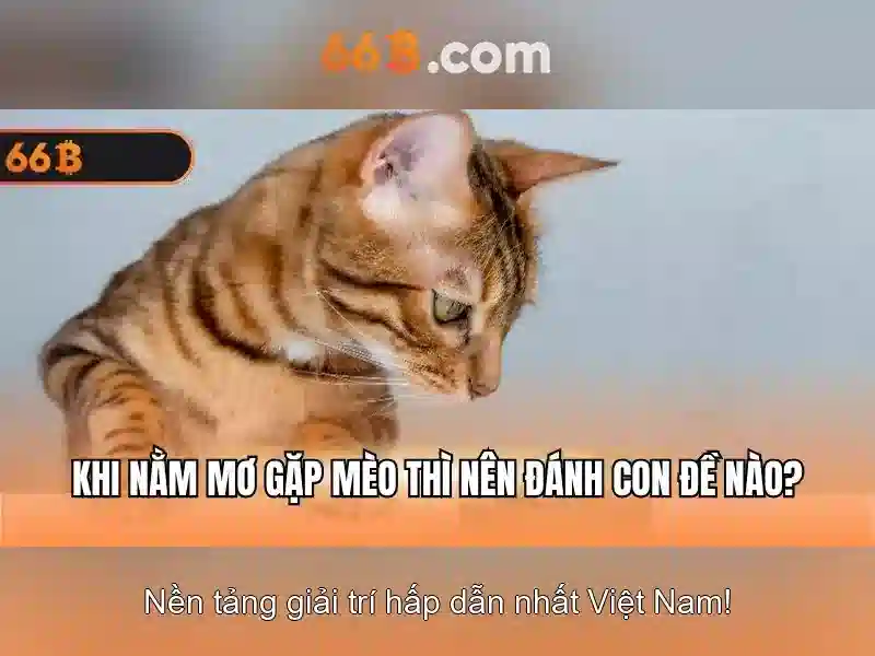 Ý nghĩa và cấu trúc của 66b Ý nghĩa và cấu trúc của 66b