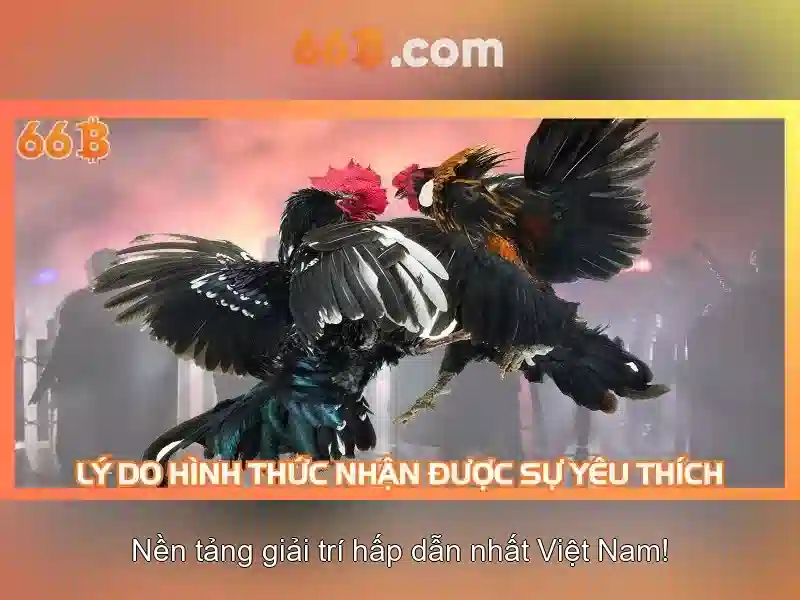 Ứng dụng thực tiễn của 66b
