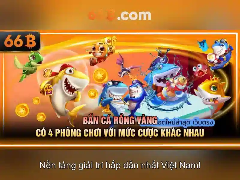 66B là gì và vì sao nó hấp dẫn 66B là gì và vì sao nó hấp dẫn