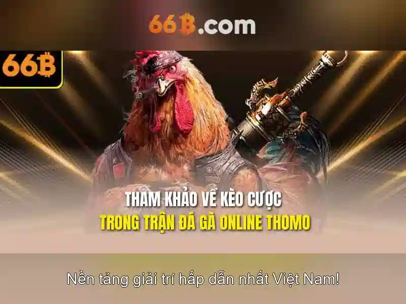 66b là gì?