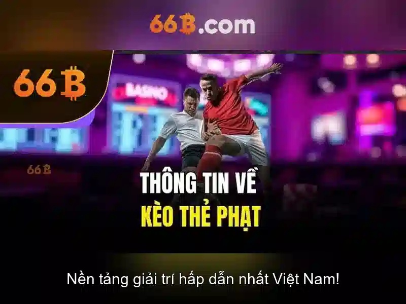 Ứng dụng của 66b trong đồ lót và thời trang Ứng dụng của 66b trong đồ lót và thời trang