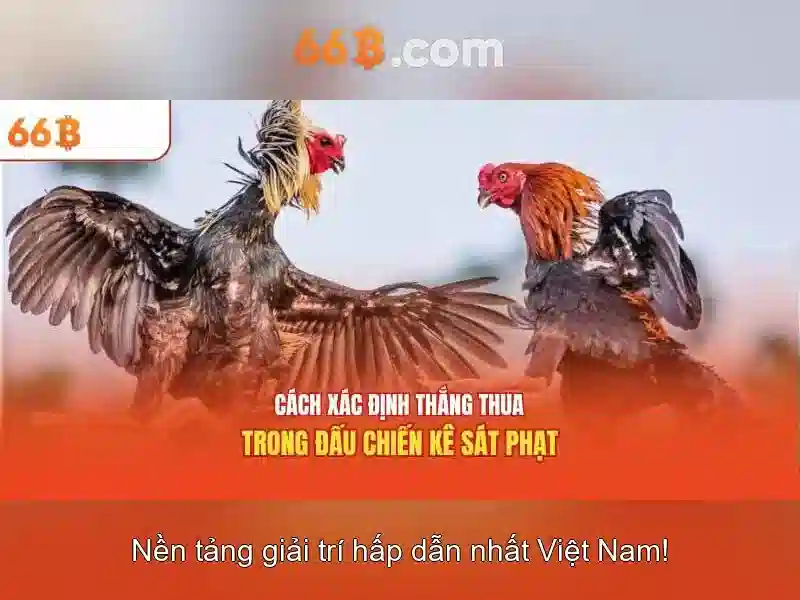 Phương pháp bảo quản và tương lai của 66b