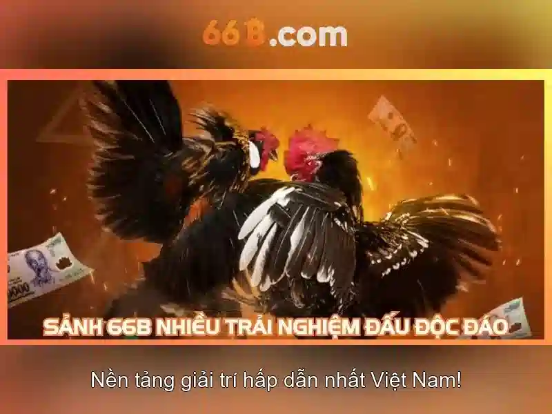 HK HOME 66B TRAN HUNG DAO (Hà Nội) - Tripadvisor