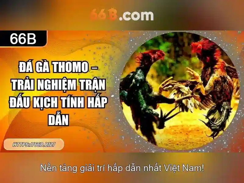 Đặc điểm nổi bật của 66b