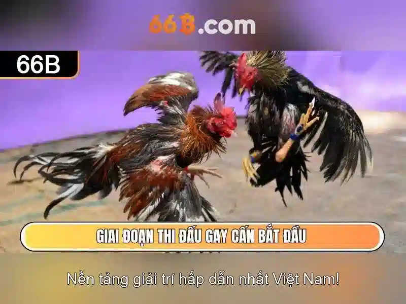 Ưu điểm nổi bật