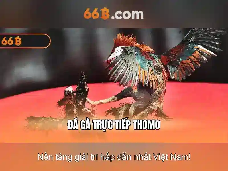 Bull Bull trực tuyến