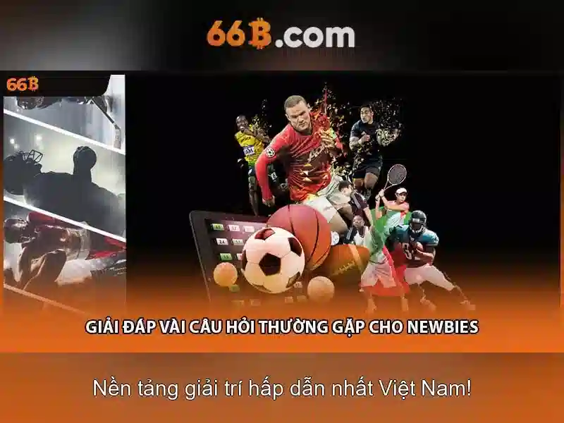 66B là gì? 66B là gì?