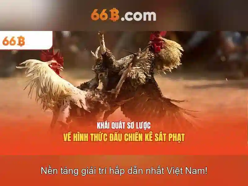 Bull Bull trực tuyến