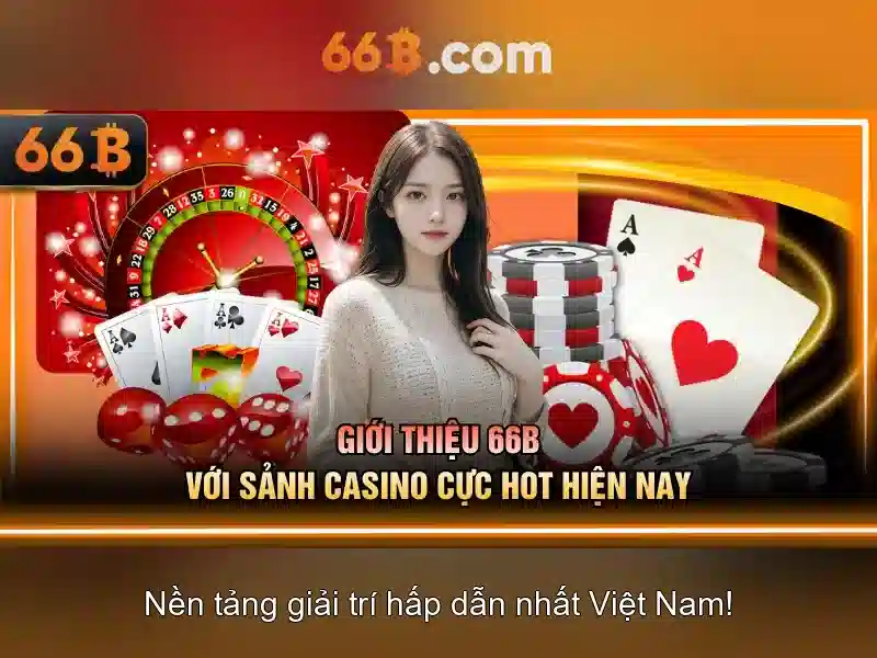 66B là gì? 66B là gì?