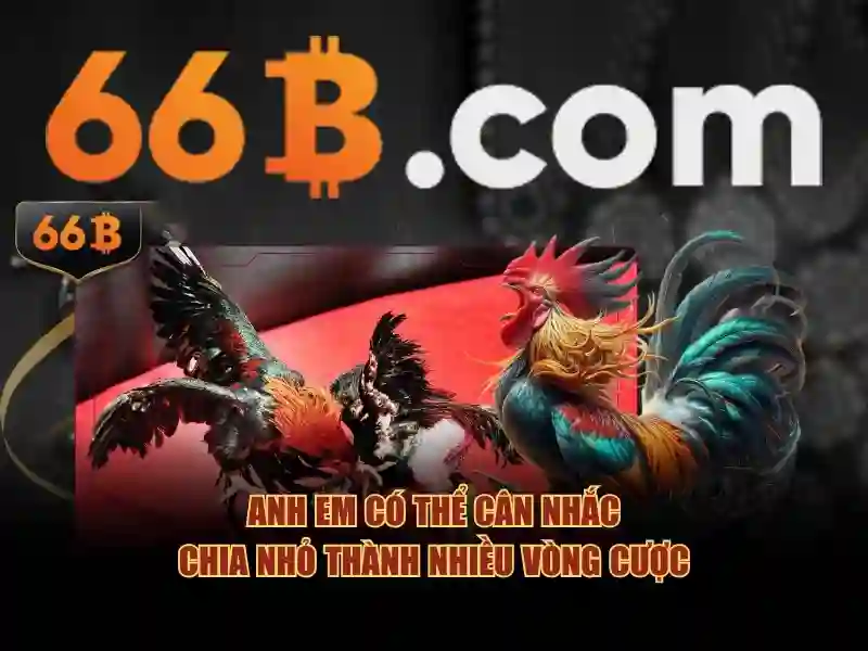 Cách tối ưu hóa 66B cho doanh nghiệp Cách tối ưu hóa 66B cho doanh nghiệp