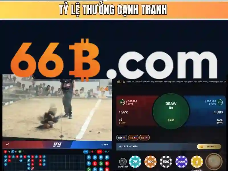 Kiến trúc và thiết kế của 66B