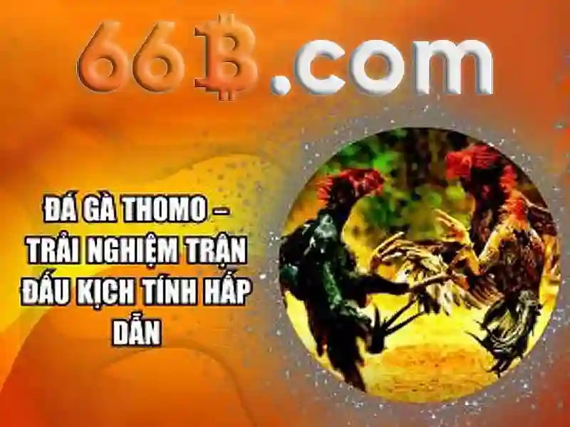 Kiến trúc và cách hoạt động của 66B