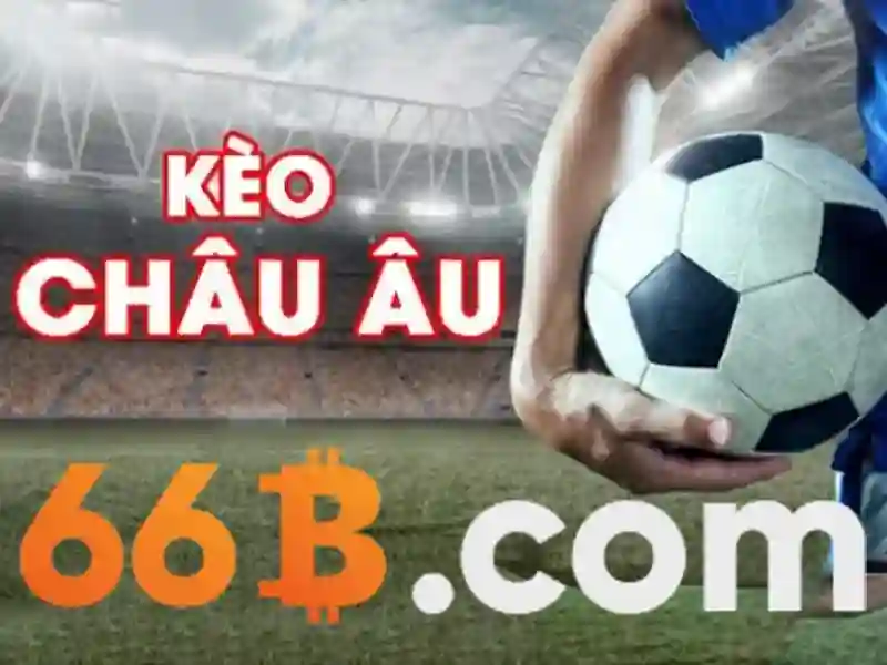 Triển vọng và tương lai Triển vọng và tương lai