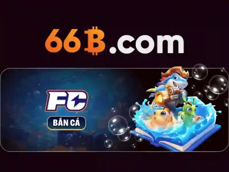 Kết luận về 66B