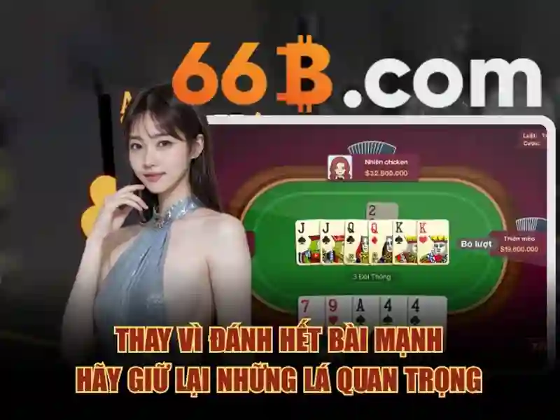 Giới thiệu về 66b