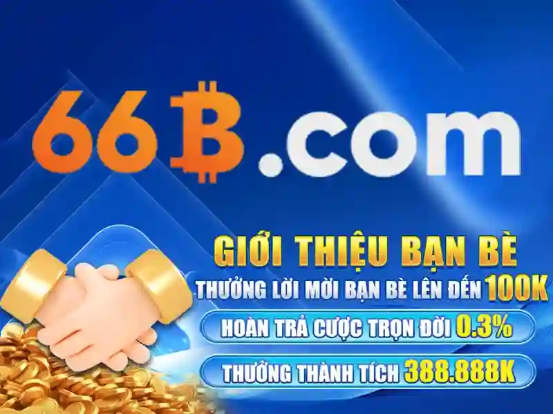 Tương lai và vị trí của 66B Tương lai và vị trí của 66B