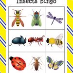 Insects Bingo | Insects, Bug Activities, Preschool Math Games