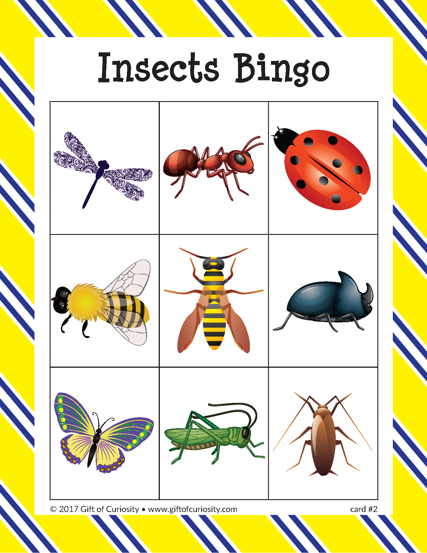 Insects Bingo | Insects, Preschool Math Games, Bingo