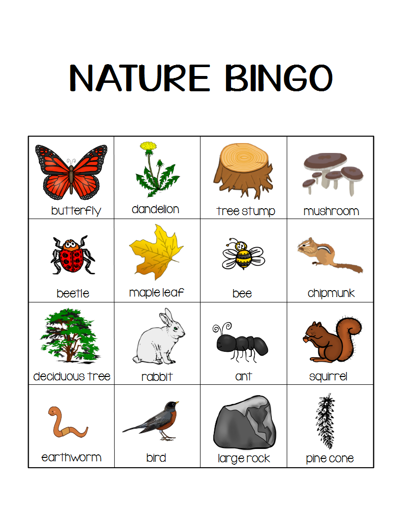 kids nature walk bingo