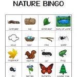 Nature Bingo Printable Activity   Take A Hike With Your Kids
