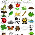 Nature Hunt Bingo | Nature Hunt, Bingo, Bingo For Kids