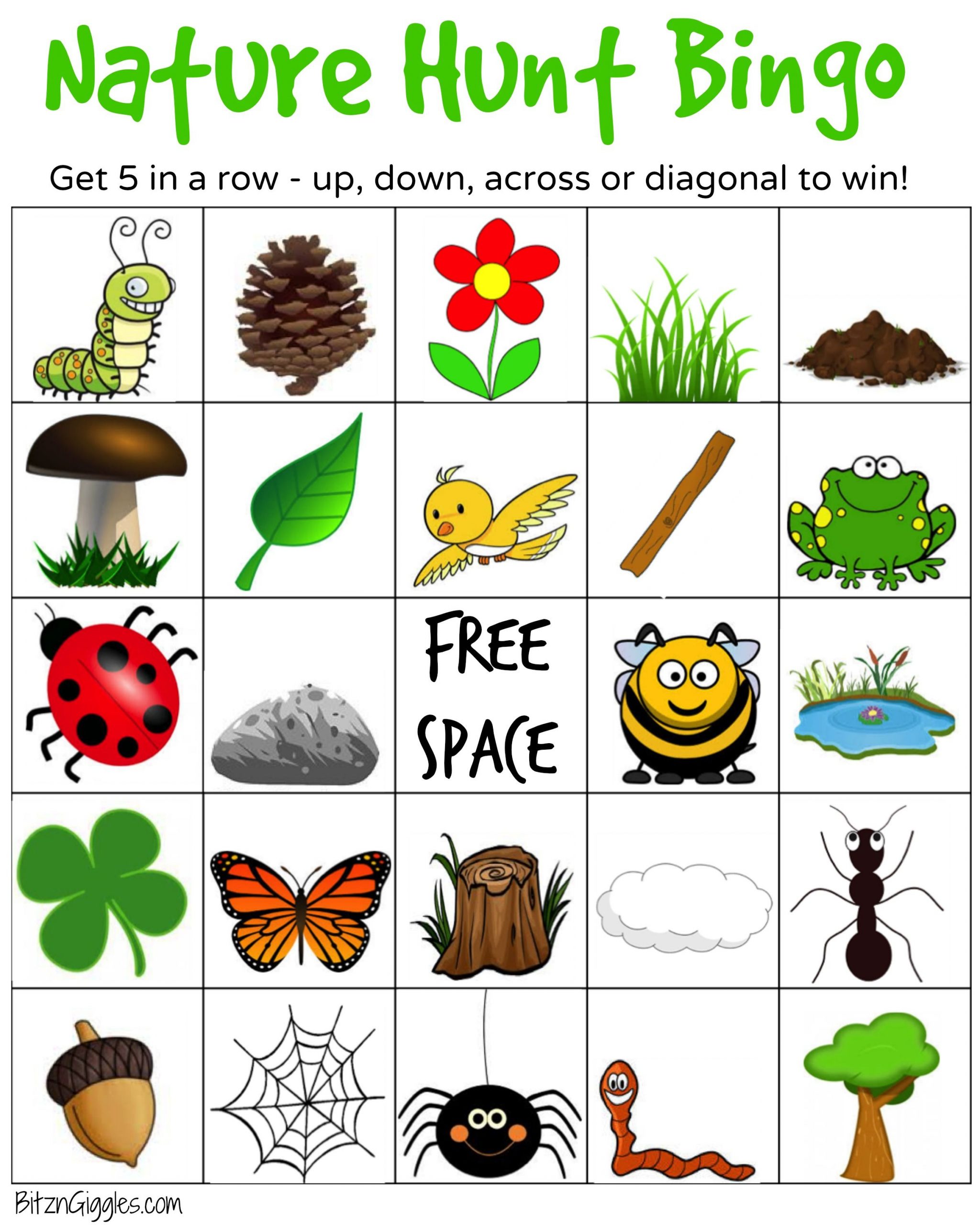 Nature Hunt Bingo | Nature Hunt, Bingo, Bingo For Kids