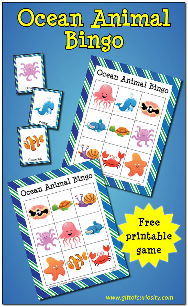 Ocean Animal Bingo {Free Ocean Printables} - Gift Of Curiosity