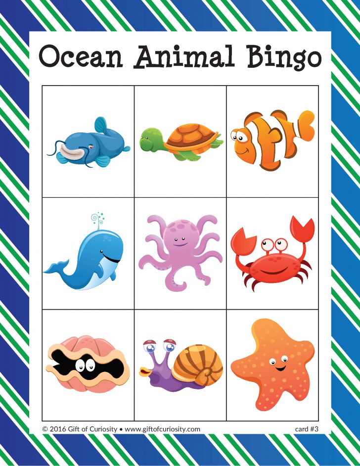 ocean-animal-bingo-gift-of-curiosity-printable-bingo-cards