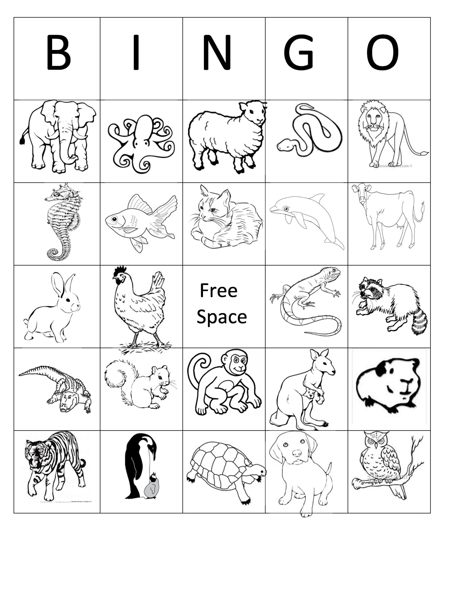 Printable Animal Bingo Card 1 Black And White Coloring Sheet