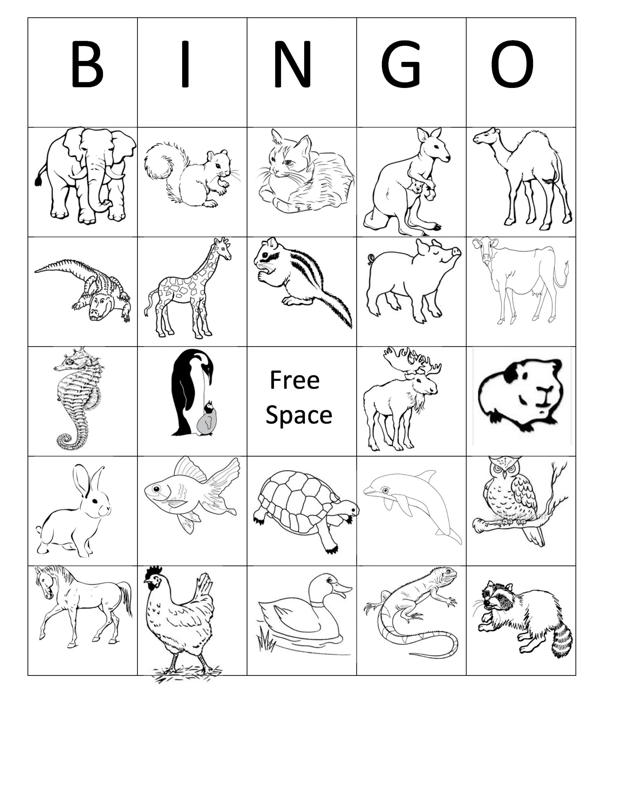 Printable Animal Bingo Card 5 Black And White Coloring Sheet