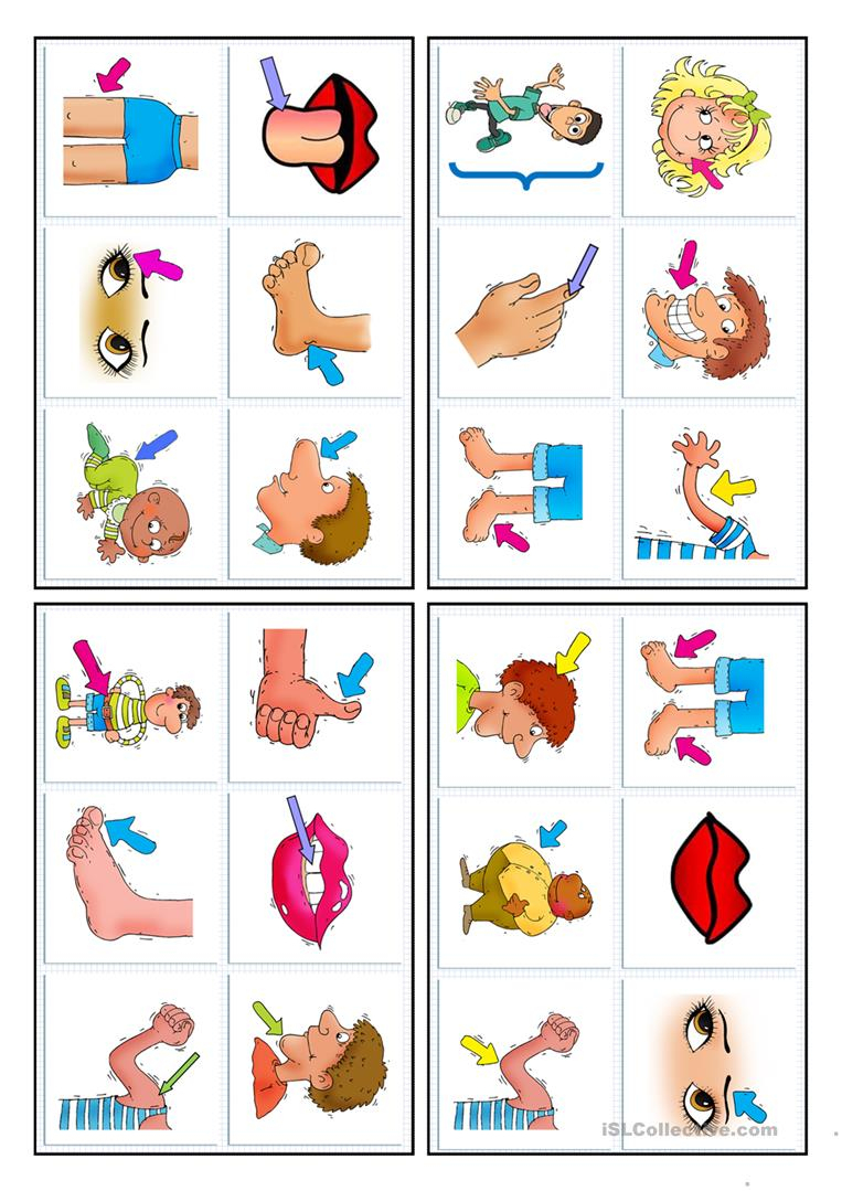 24 Bingo Cards - Parts Of The Body - English Esl Worksheets