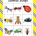 Afbeeldingsresultaat Voor Insecten Bingo | Bingo, Insecten