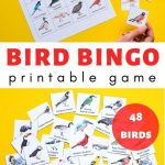 Bird Bingo Printable Game | Bingo Cards, Printable Board