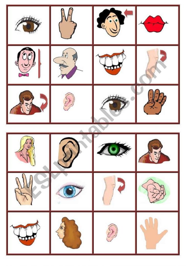 Body Part Picture Bingo Cards Printable Free