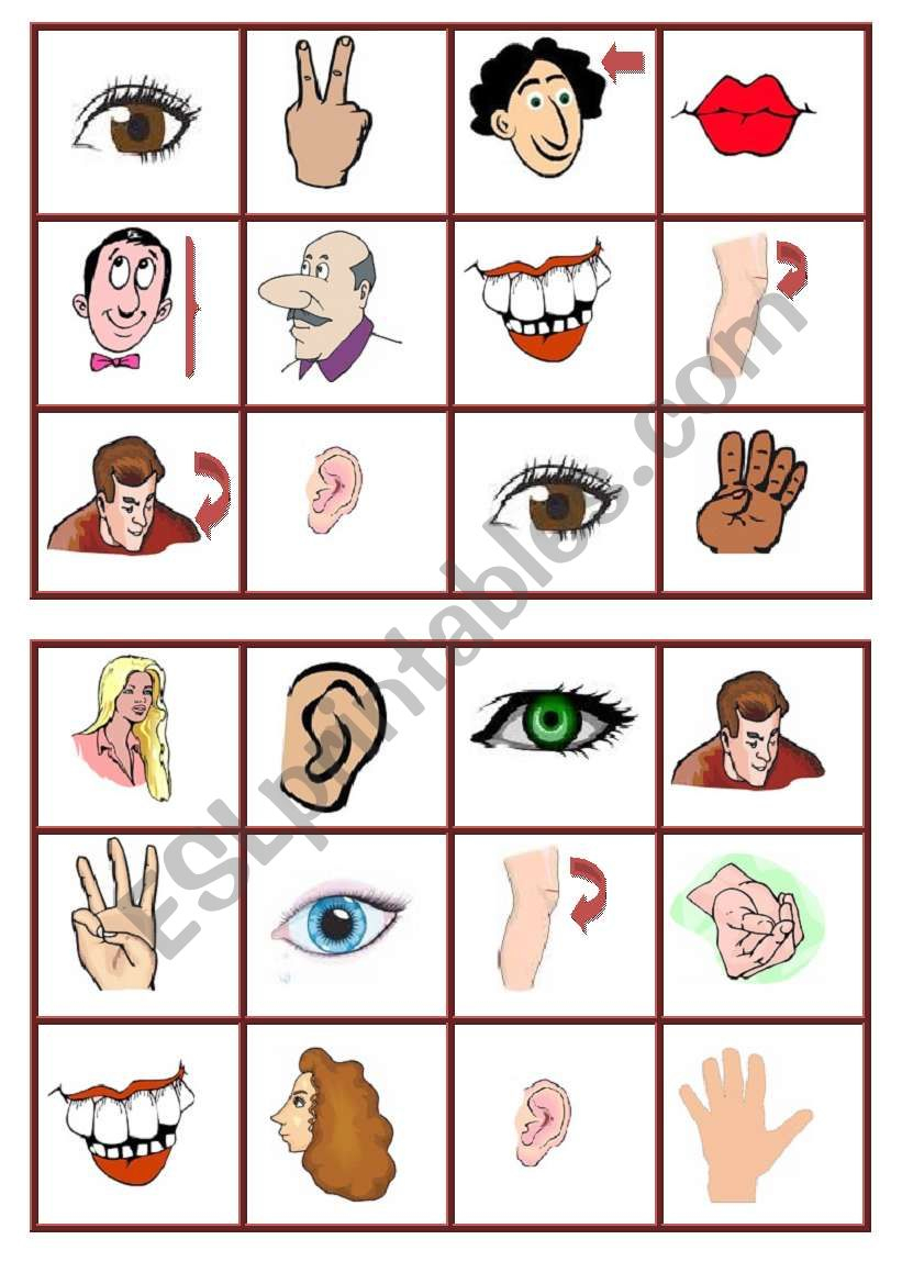 Body Parts Bingo1 Esl Worksheetagunda Printable Bingo Cards