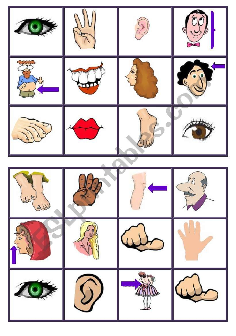 Body Parts Bingo 2 - Esl Worksheetagunda